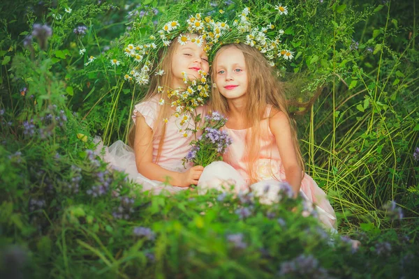 Pequenas Meninas Alegres Grinaldas Camomila Verão Campo — Fotografia de Stock