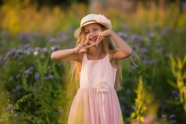 夏休み 子供時代 美しさ 牧草地で帽子の子供の女の子の肖像画 黄金の時間 — ストック写真