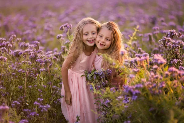 Две Красивые Девушки Длинными Волосами Цветущем Поле Закате — стоковое фото