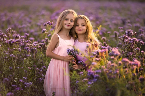 Dos Hermosas Chicas Con Pelo Largo Campo Floreciente Atardecer —  Fotos de Stock