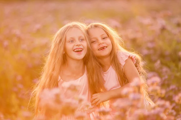 Duas Meninas Bonitas Com Cabelos Longos Campo Florescente Pôr Sol — Fotografia de Stock