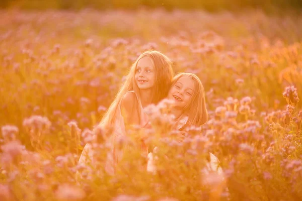 Duas Meninas Bonitas Com Cabelos Longos Campo Florescente Pôr Sol — Fotografia de Stock