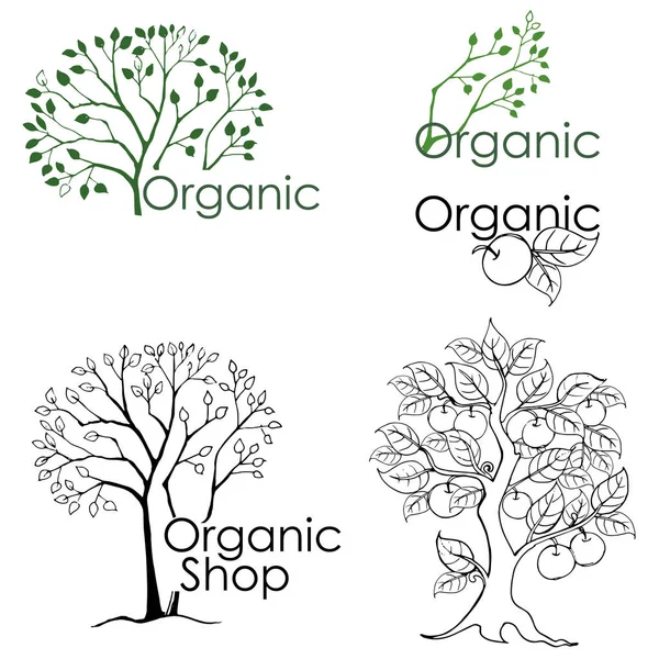 Conjunto de dibujos de árboles y elementos de diseño relacionados con el medio ambiente. Tienda ecológica . — Vector de stock