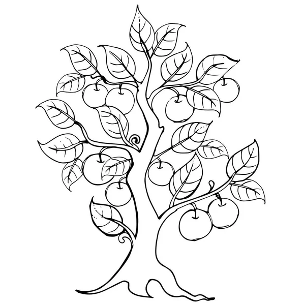 Hände zeichnen Apfelbaum. Vektorgrafik. Illustration für die Einladung, die Elemente Markenbuch, Logo. — Stockvektor