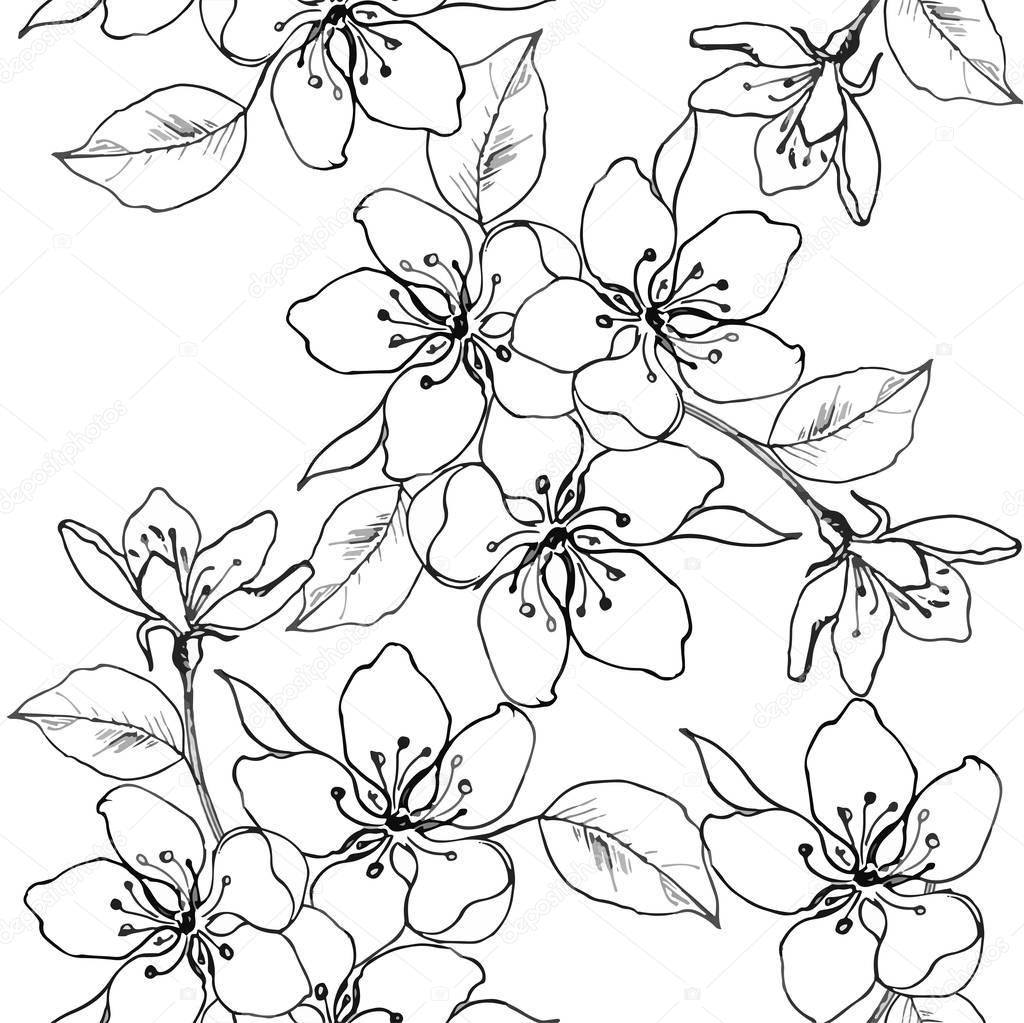 Drawing hands a branch of cherry blossom, pear, apple. Vector seamless pattern of spring flowers. Decorative ornament backdrop for fabric, textile, wrapping paper.