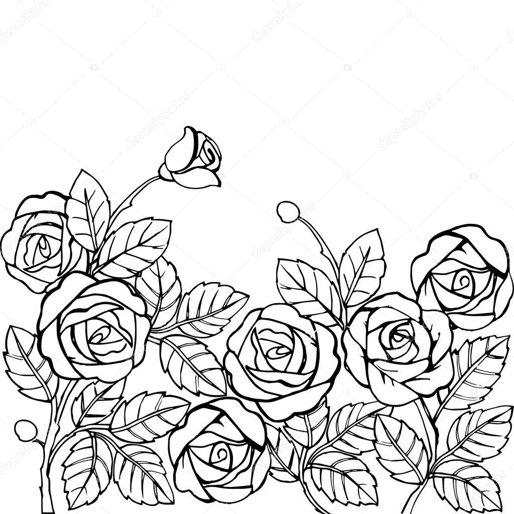 Hand drawn garden of roses for the anti stress coloring page.