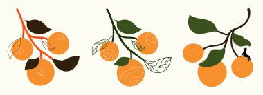 Vector set with oranges with leaves. Doodle elements, grunge dot