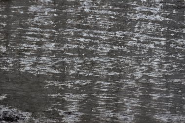 eski çam ahşap doku 