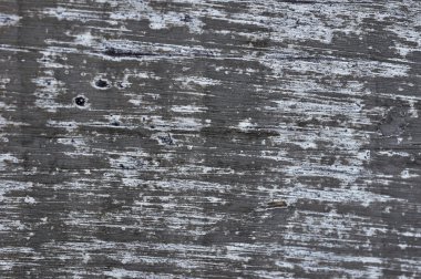 eski çam ahşap doku 