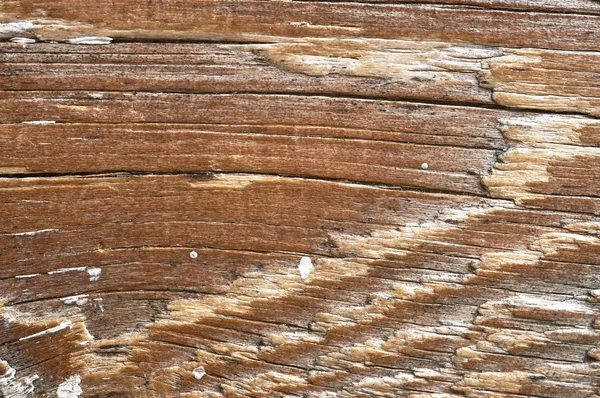 Textura de madeira de pinheiro velho — Fotografia de Stock