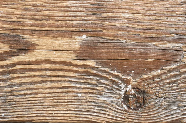 Textura de madeira de pinheiro velho — Fotografia de Stock