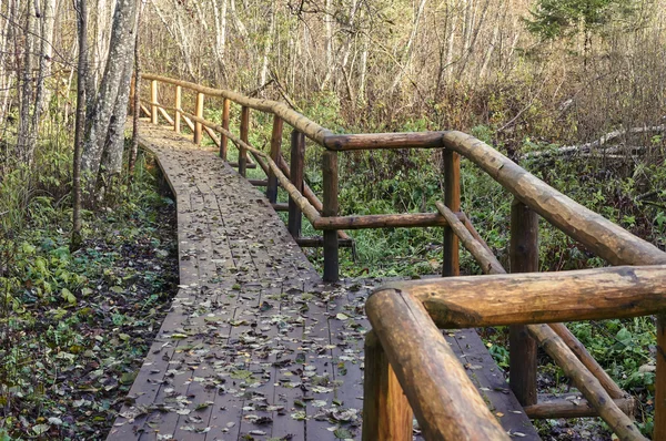 Деревянный мост в лесу и парке — стоковое фото