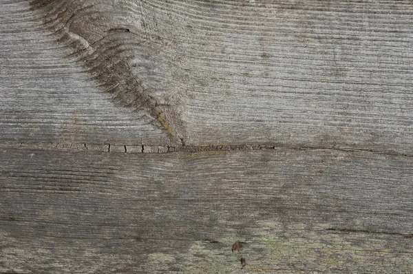 Tablero de madera viejo — Foto de Stock