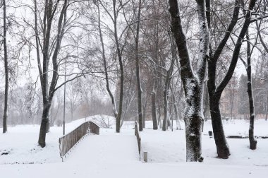 Şehir sokaklarında kar yağışı
