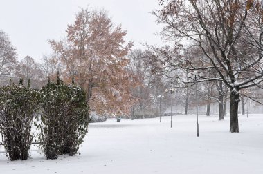 Şehir sokaklarında kar yağışı