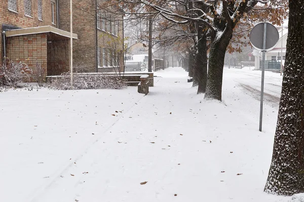 Nevadas en las calles de la ciudad — Foto de Stock