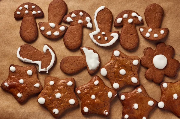 Ev yapımı kurabiye kurabiye — Stok fotoğraf