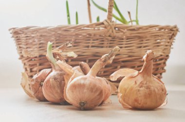 Yeşil bıçak ile soğan