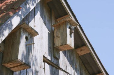 onun sakini starling ile ahşap kuş yuvası