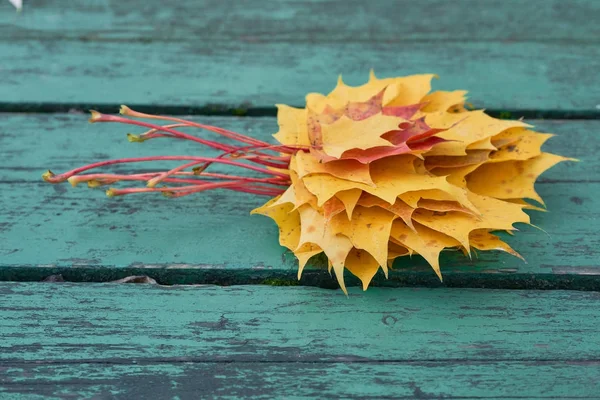 Parkta bir mavi-yeşil renkli bankta sonbaharda renkli akçaağaç yaprakları