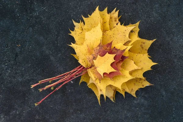 Осіннє кольорове кленове листя на бруківці — стокове фото