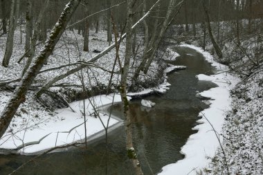 Kış manzara orman Nehri