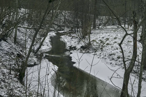 Paisaje invernal de un río forestal — Foto de Stock