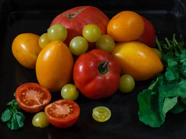 Odrůdy rajčat na tmavém pozadí — Stock fotografie