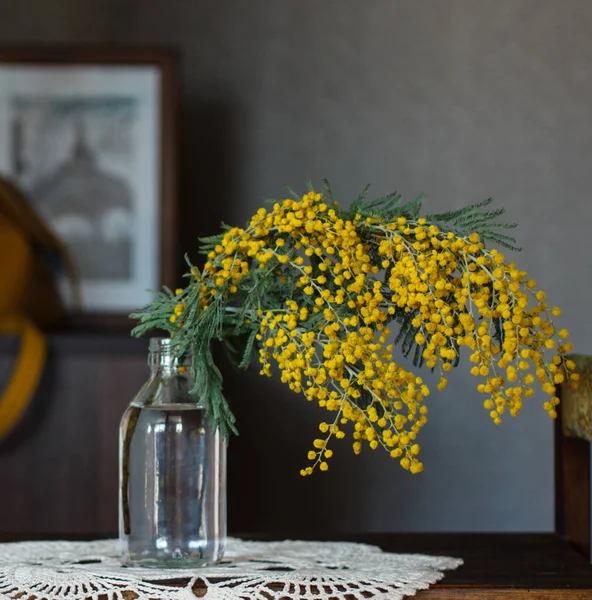 Wiosną żółte kwiaty Mimosa — Zdjęcie stockowe