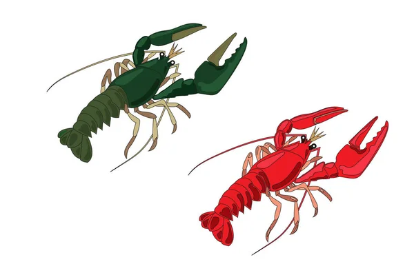 Crayfish red and green colors — Stock Illustration Crayfish red and green colors Royalty Free Stock Illustrations