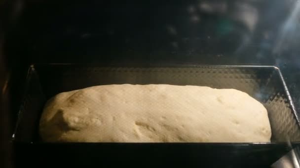 Время истекло. Прямоугольный хлеб пекут в духовке — стоковое видео