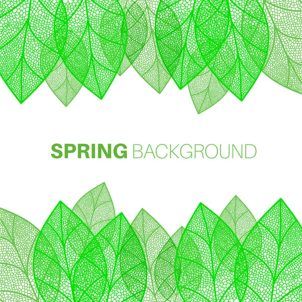 Spring leaves background — Stock Vector