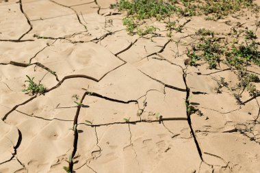 Kuraklık arazi, kırık dünya - Fuerteventura Adası, İspanya