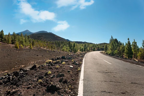 Empty Road Teide National Park Tenerife Canary Islands Spain — Stock Photo, Image