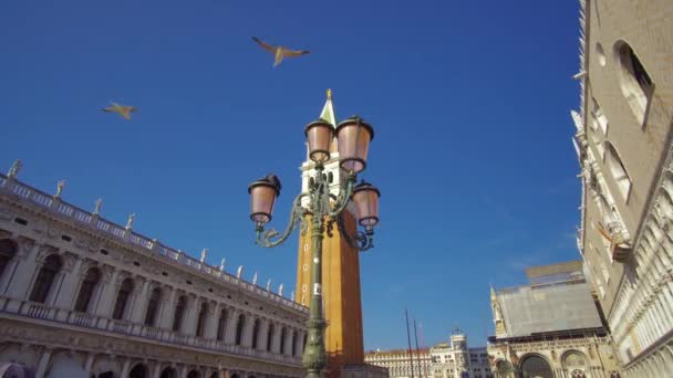 Venedig Italien 29 okt 2016: Venedig 4k. Markusplatsen i Venedig. — Stockvideo