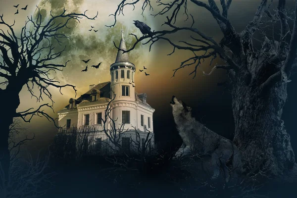 Castelo assombrado com corvos e cena de terror . — Fotografia de Stock