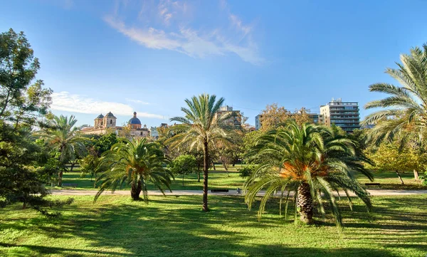 Turia Jardins Valência Espanha — Fotografia de Stock