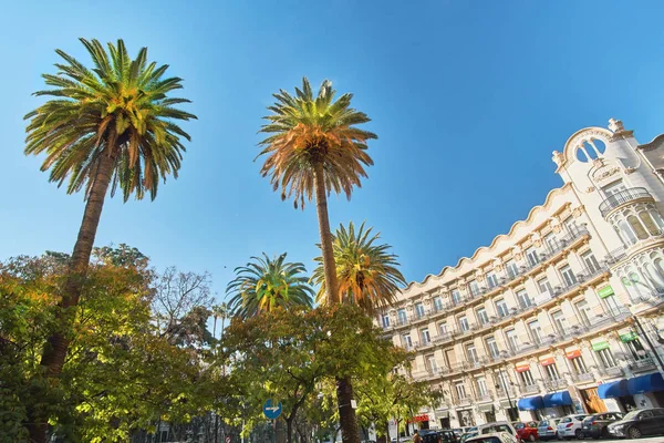 Valencia Španělsko Street s palmami — Stock fotografie