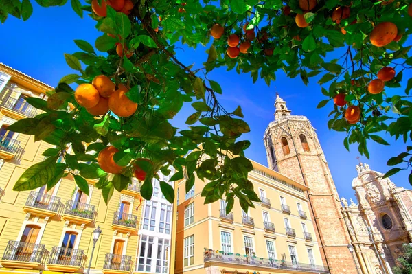 Valencia Spanje architectuur en oranje boom — Stockfoto