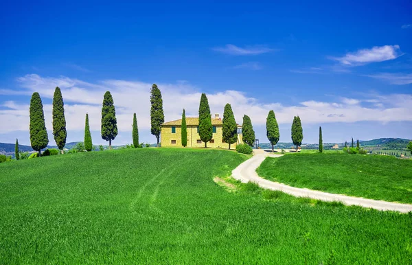Tuscany Tuscan Landscape with s shaped Road. — Stock Photo, Image