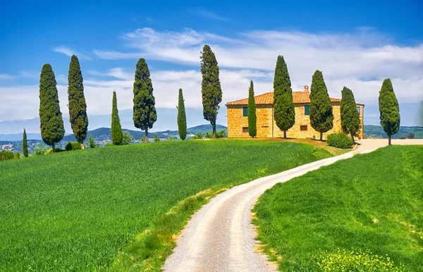 Tuscany Landscape with Cypress Trees — Stock Photo, Image