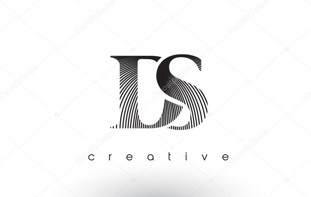 DS Logo Design With Multiple Lines. Artistic Elegant Black and White Lines Icon Vector Illustration.