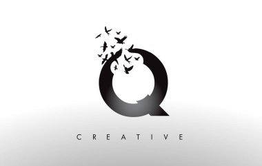 Q logo mektup--dan dağılmakta ve uçan kuş sürüsü ile