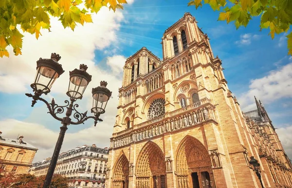 巴黎圣母院法国与金色光线. — 图库照片