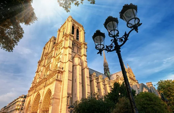 Kathedrale Notre-dame in Paris mit goldenen Lichtstrahlen. — Stockfoto
