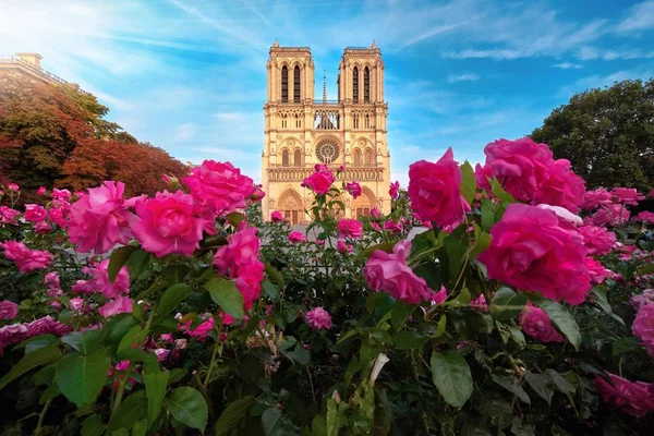 巴黎圣母院法国与玫瑰 — 图库照片
