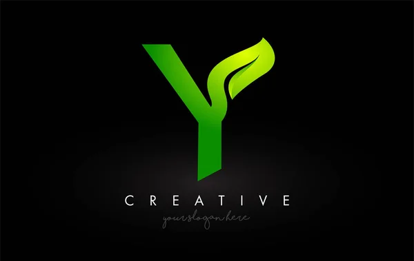 Y Leaf Lettre Logo Icône Design dans les couleurs vertes vecteur Illustrati — Image vectorielle