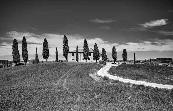 Tuscany Tuscan Landscape with s shaped Road Black and White Photography — Stock Photo, Image