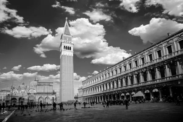 Piazza San Marco ασπρόμαυρη φωτογραφία — Φωτογραφία Αρχείου