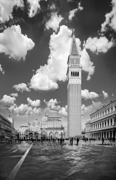 Piazza San Marco Fotografía en blanco y negro — Foto de Stock